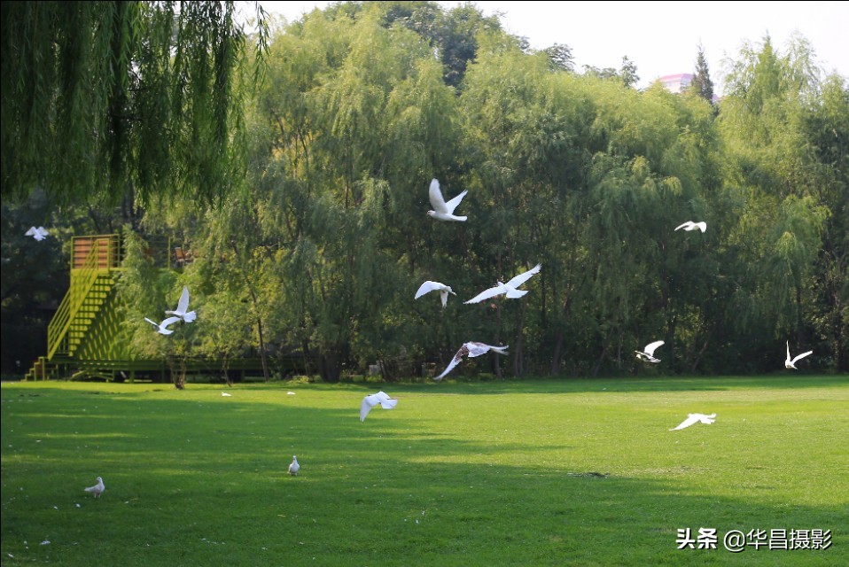 北京紫玉山庄有什么好玩的,紫玉山庄旅游度假