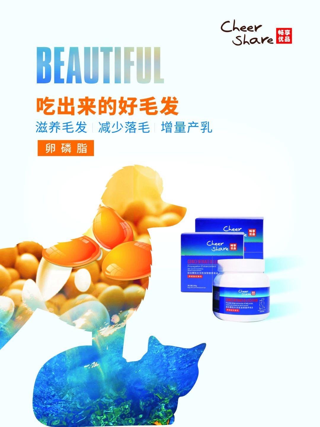 畅享一夏萌宠洗护,畅享宠物