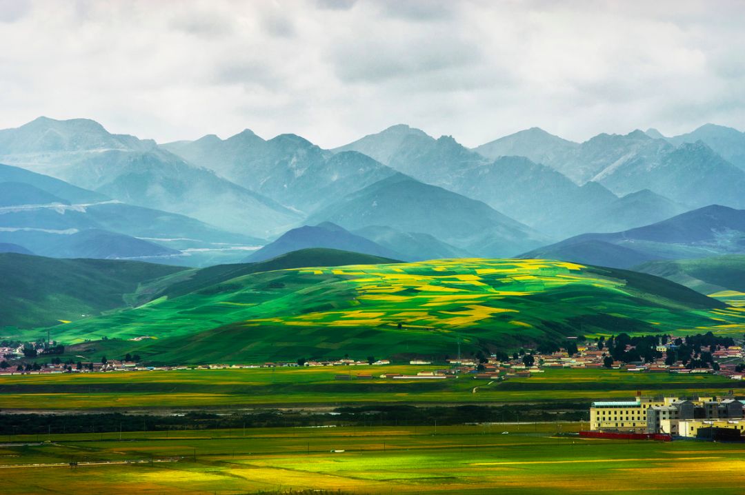 戴口罩的冬天太漫长，差点忘了中国的春天有多美