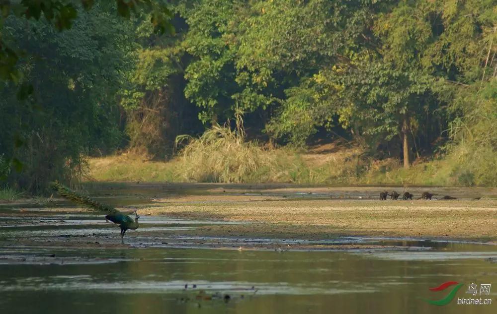 建水电站下游会断流吗 (建水电站对河水有影响吗)