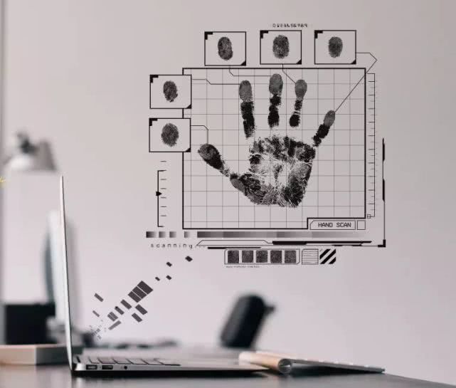 皮纹测试先天潜能总量,皮纹基因潜能测试