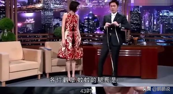 马小玲甄子丹离婚原因,龙虎门甄子丹马小玲