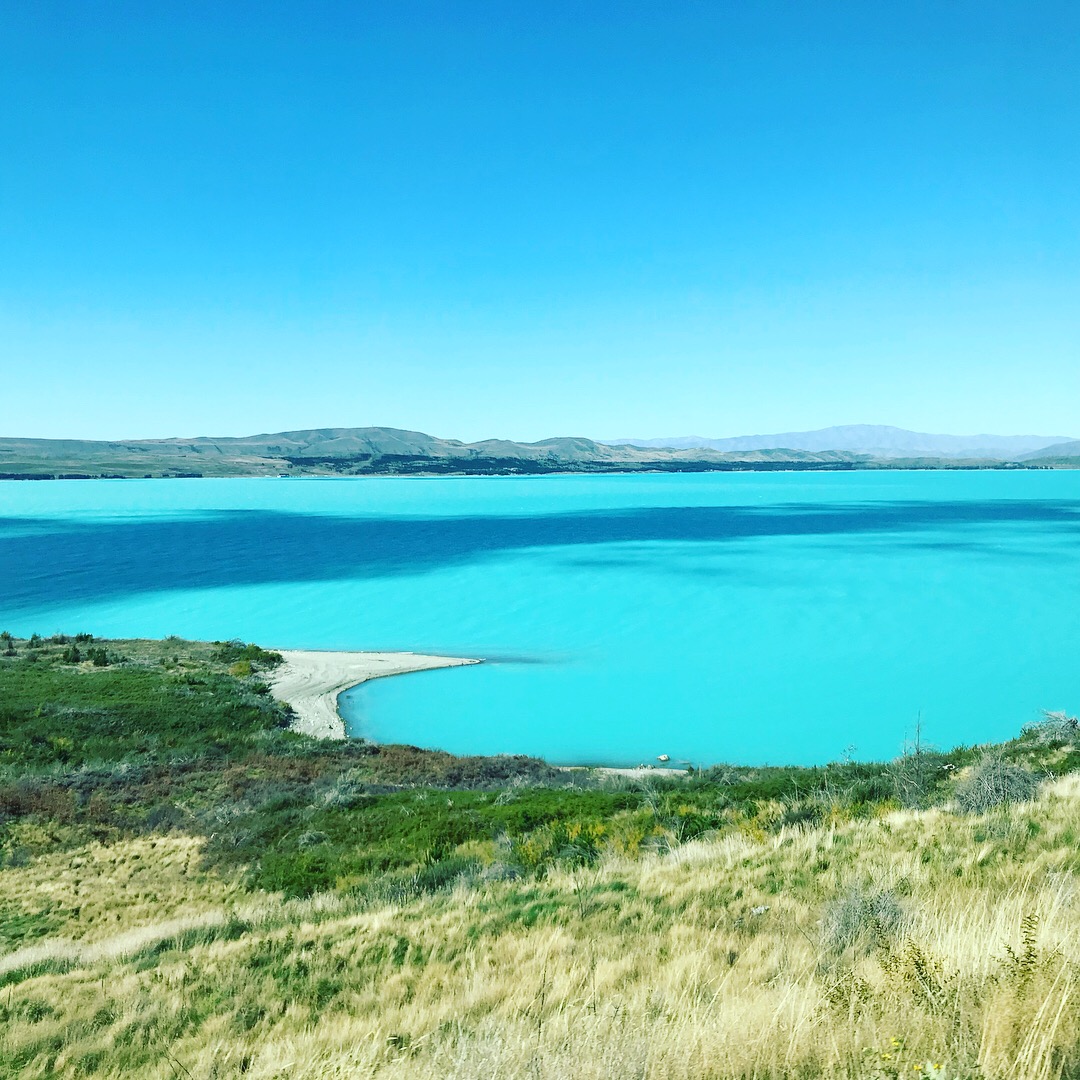 新西兰旅游必备大牌礼物,新西兰旅行攻略完整详细版