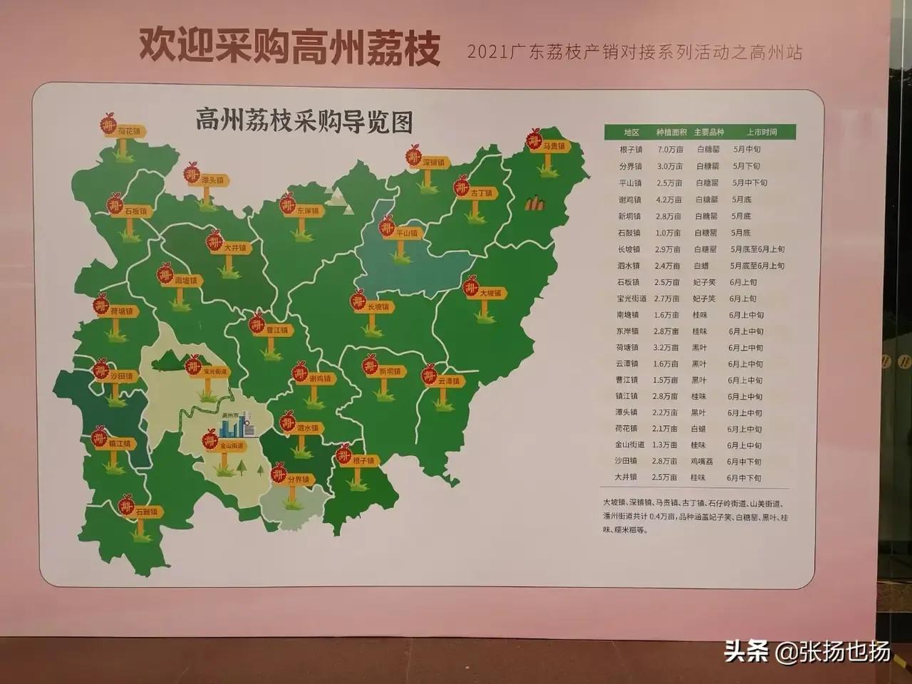 茂名:高州荔枝主产六大乡镇,看看你认识几个?