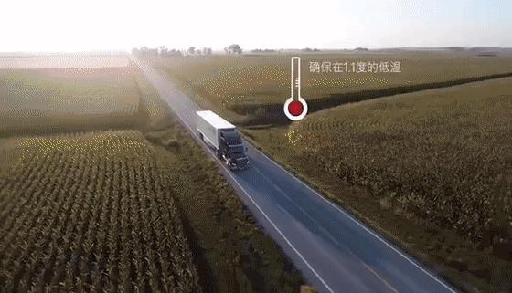 生鲜果蔬配送商城长春,全球顶级水果生鲜配送