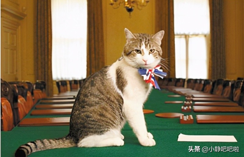 你不知道的国家冷知识意大利篇,英国三个冷知识