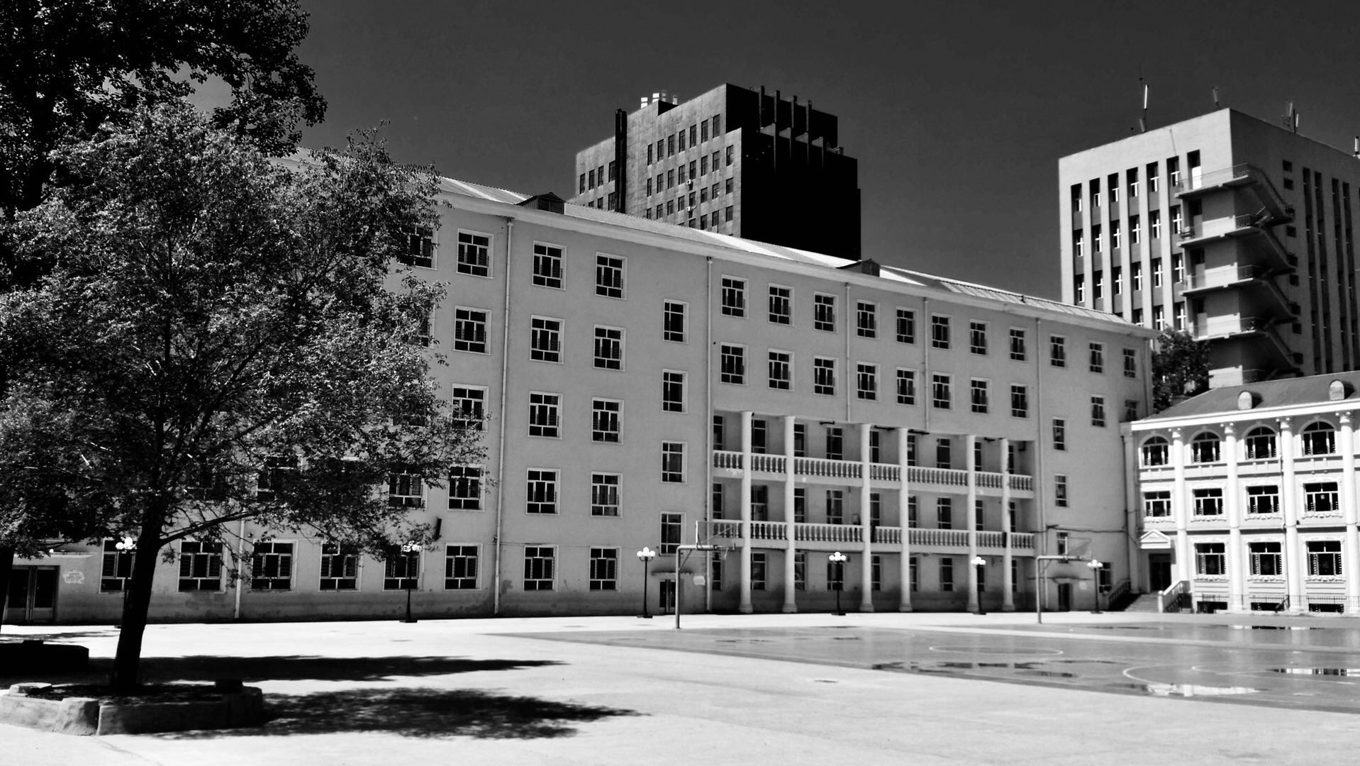 小学难忘的回忆,难忘的小学活作文