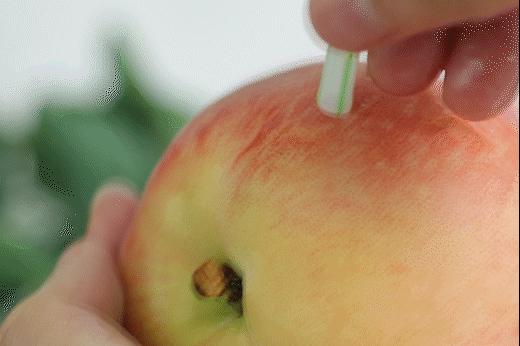 陕西水蜜桃哪里的最好吃,西安脆甜水蜜桃