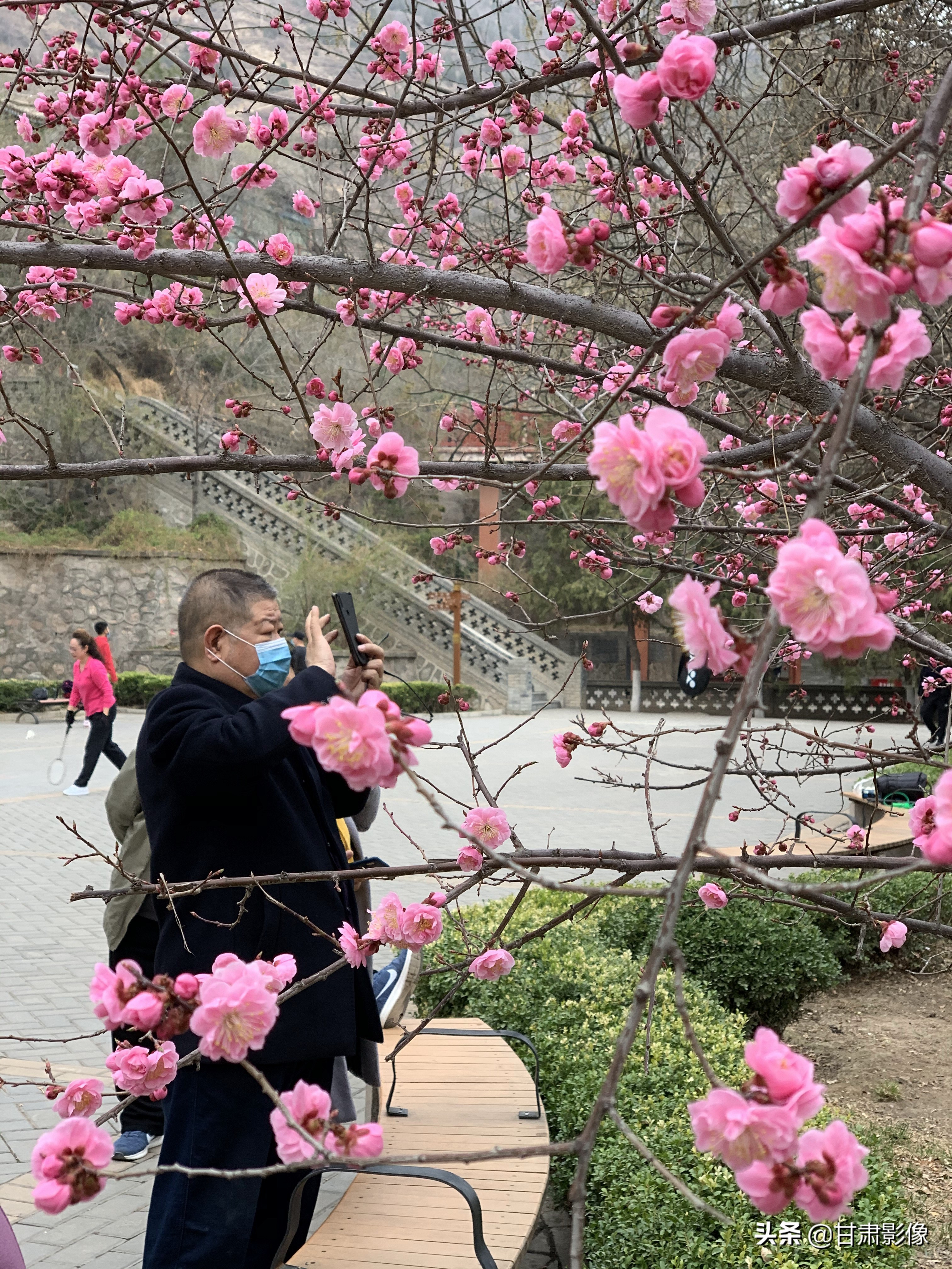 告别2021年的夏天手机摄影,简单手机摄影2020不平凡的一年