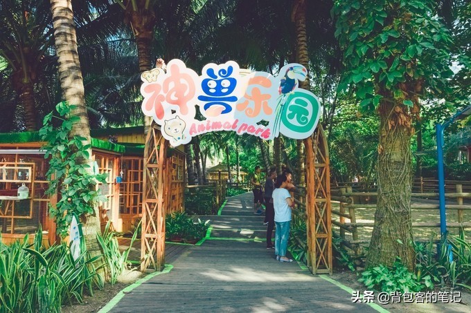 进出景区排队3个小时,岛上物价高上天,这的游客还是多的挤破头