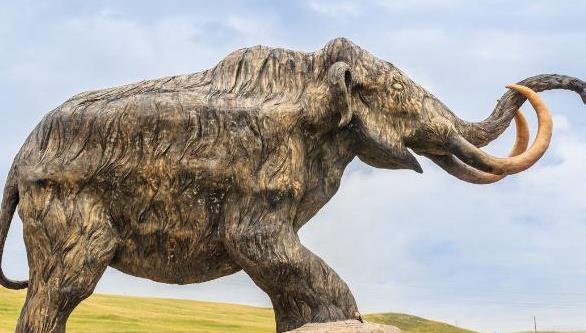 猛犸象是灭绝最晚的史前动物,猛犸象是怎么灭绝的