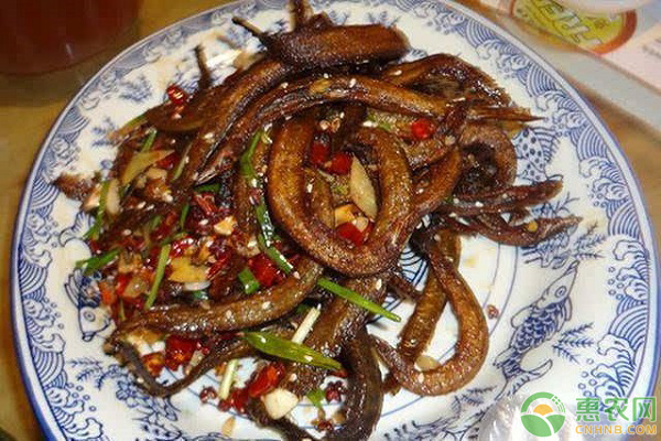 刀鳅鱼多少钱一条,刀鳅鱼是海鱼吗多少钱一斤