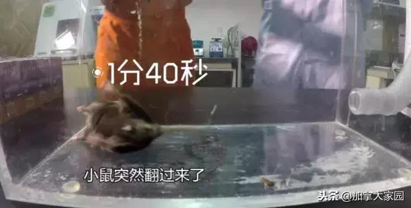 中国女留学生吸“笑气”成瘾：一年花十几万，瘫痪，坐轮椅回国！