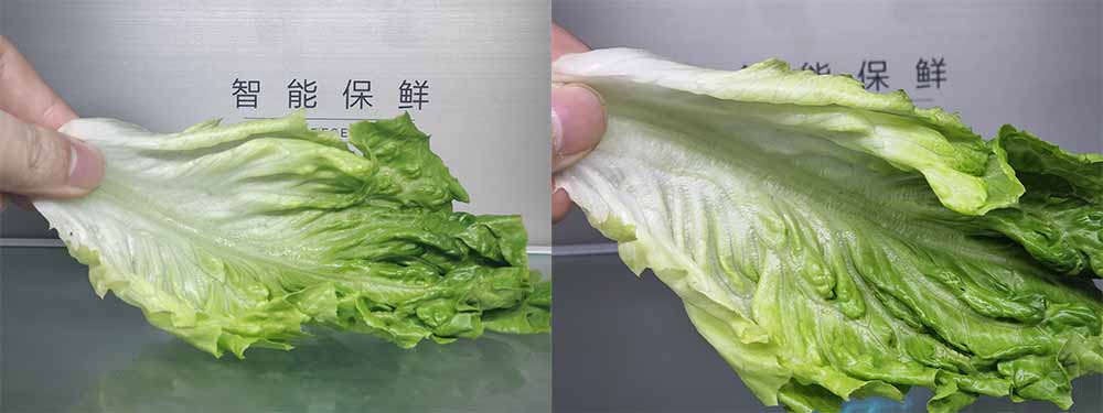 美的45l单门小型冰箱测评,美的冰箱446升深宽高多少