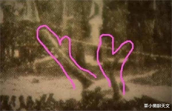 上古神兽龙真实存在过吗,自然传奇的奇异神兽龙是真的吗