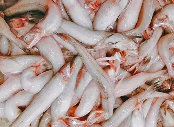 世界最好吃的十大海鲜排行榜,温州最有名的十大海鲜