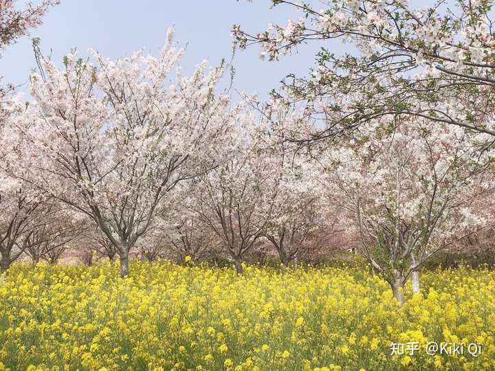 郑州有什么好吃的美食,郑州有什么好玩的地方情侣