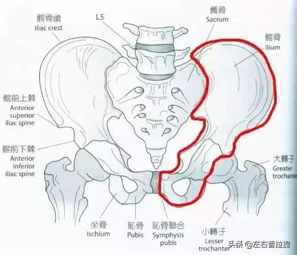 假胯宽普拉提怎样训练,假胯宽练普拉提注意事项