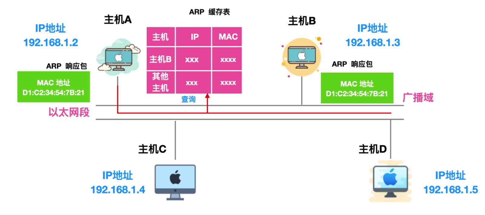 稳了字幕翻译,arp协议详解图解