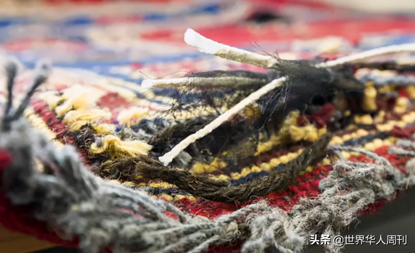 家庭妇女沦为毒枭，少女为爱运毒：那些疯狂的女毒贩怎么样了？