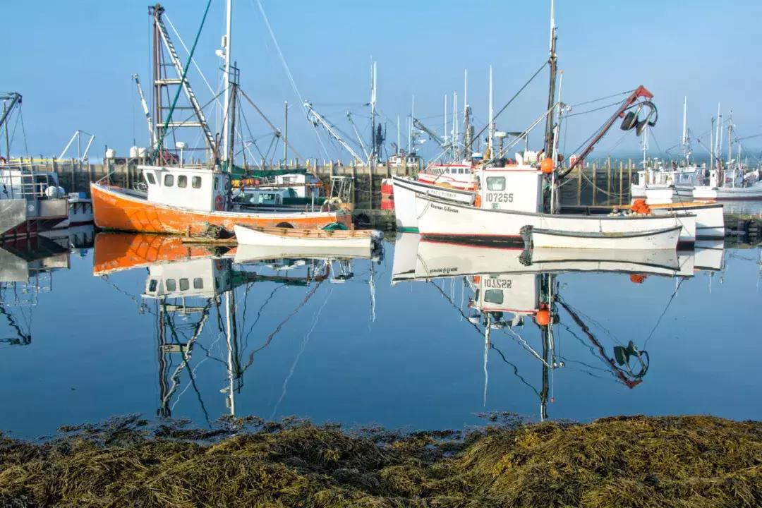 加拿大美丽风景视频,加拿大绝美图