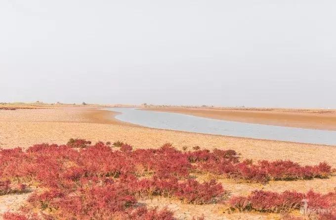 前方高能预警,前方高能预警有多高能