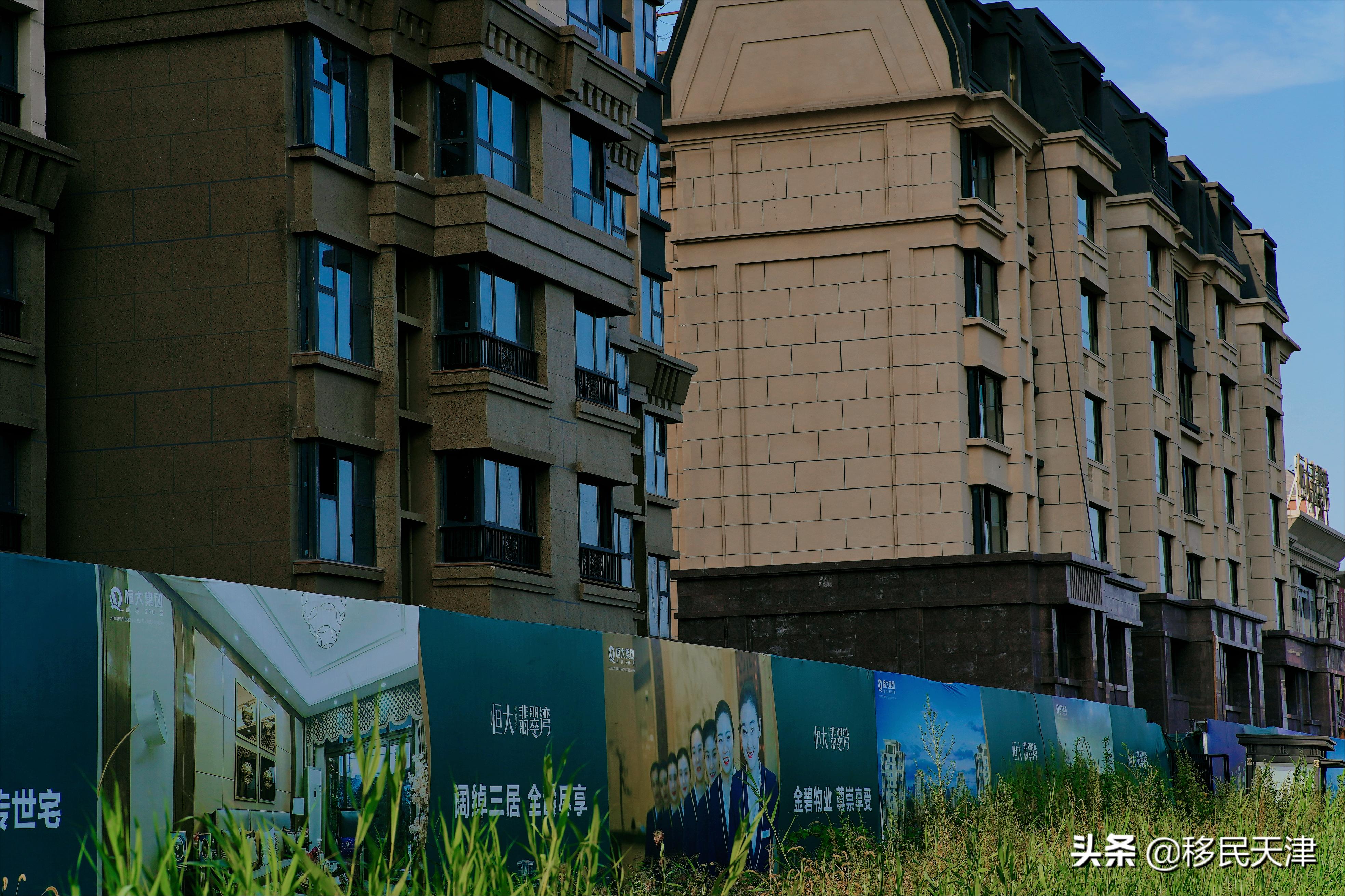 为什么天津不建议买武清的房子,天津武清南湖房产有前途吗