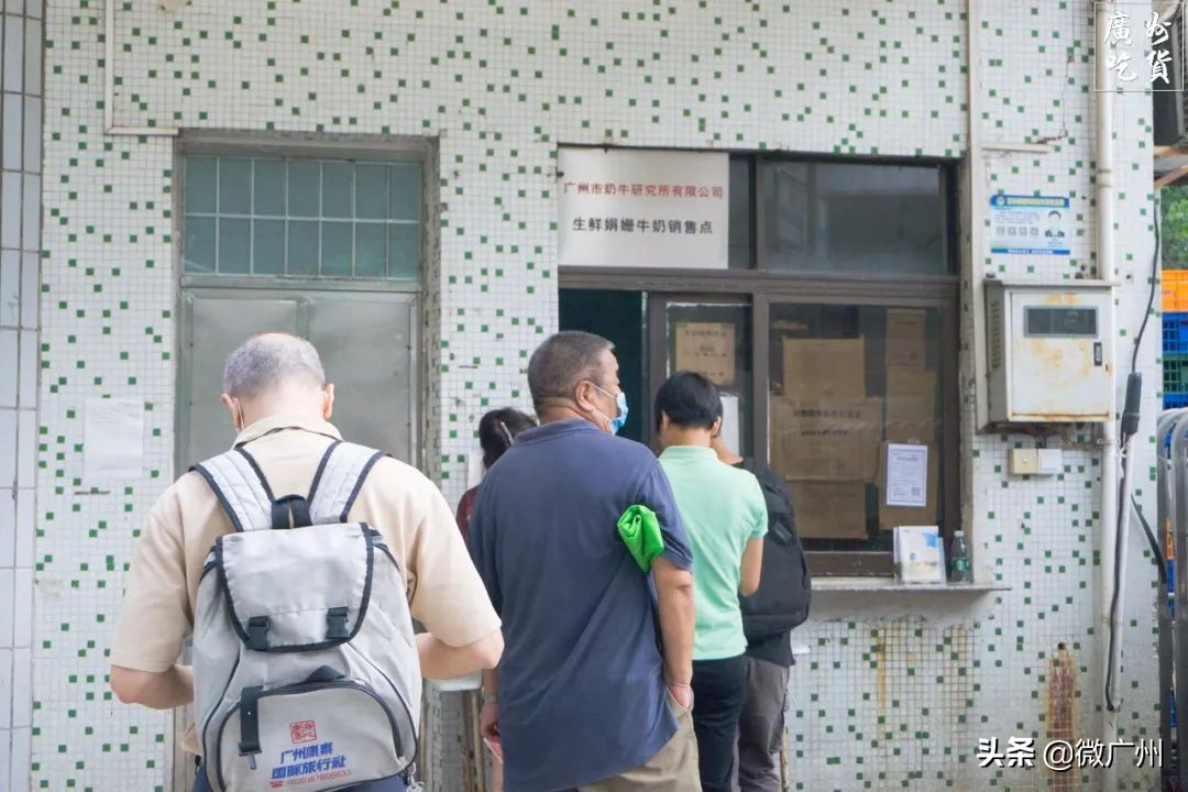 广州市奶牛研究所几点过去买牛奶,广州白云山奶牛研究所