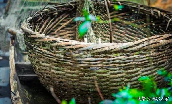 桂林船家文化,桂林市大圩镇漓水人家景区简介