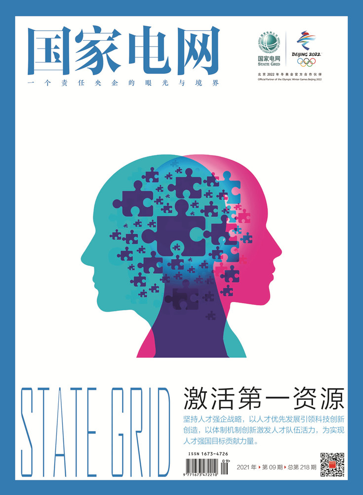 电科院专家队伍,科技筑梦创新未来中国电科院