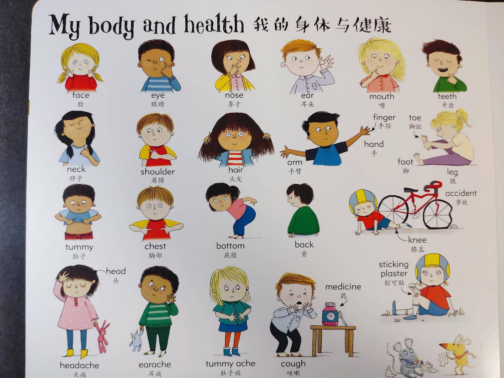 适合陪小孩一起看的书,适合孩子读的童书