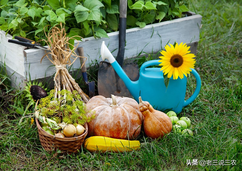 西红柿黄瓜防病,黄瓜番茄防病用啥药解决