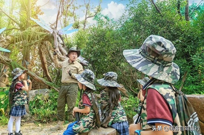 常州恐龙园欢乐行旅游攻略,常州环球恐龙城和中华恐龙园