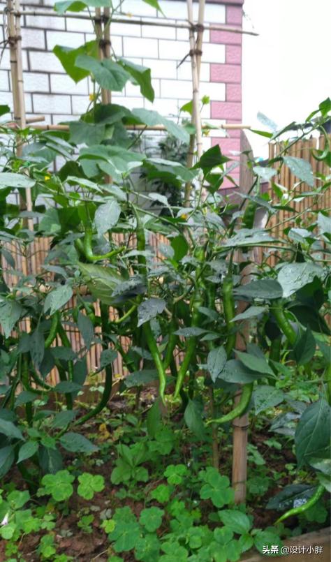 一个人手工diy,一个人的diy可以做什么