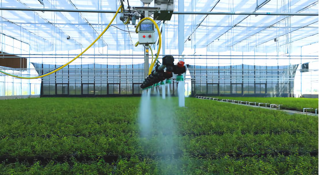 软籽石榴种植前景怎么样,收购软籽石榴种植方法