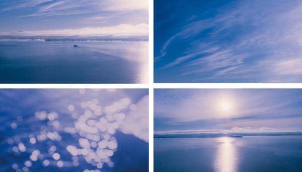 完了，我中了GR蓝的毒！