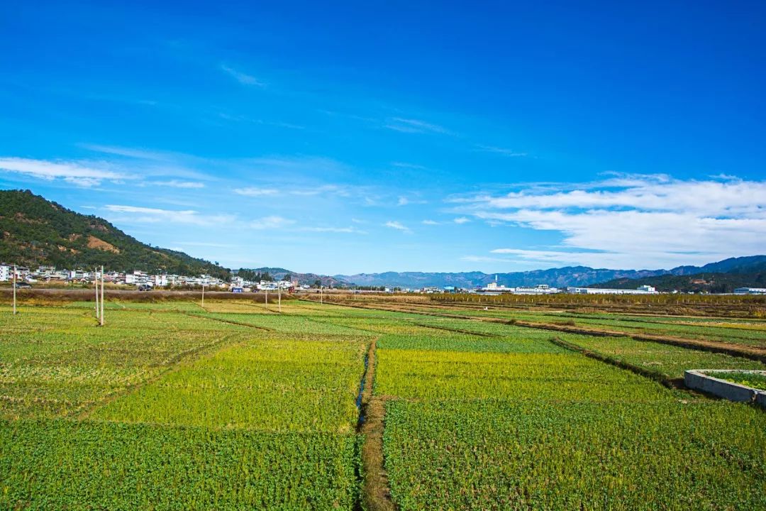 说秋道冬话永胜，气候多样人宜居