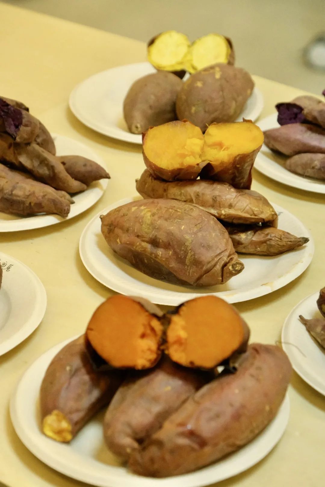 盒马大赛,盒马挑战赛