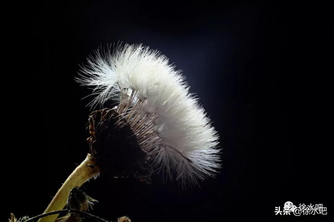 「徐水映像」换个角度看保定徐水,美