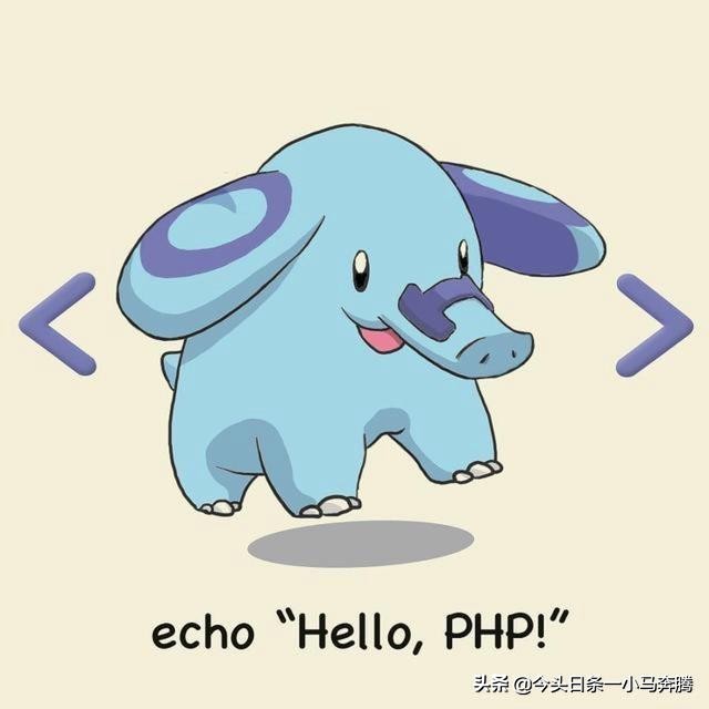 0基础学网络,计算机网络基础