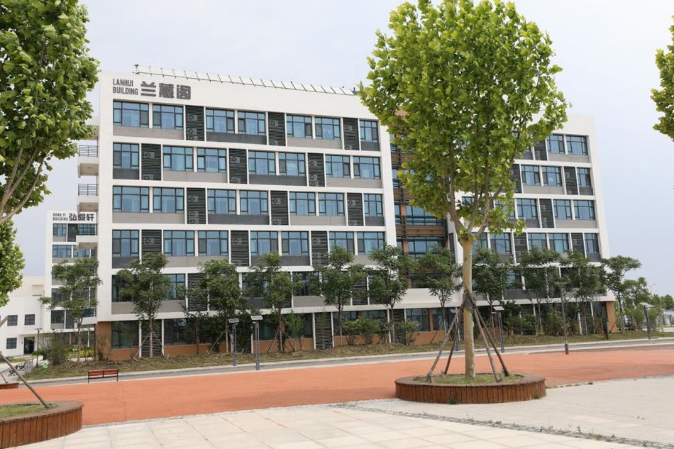 青岛幼儿师范高等专科学校新项目,青岛幼儿师范高等专科学校幼儿园