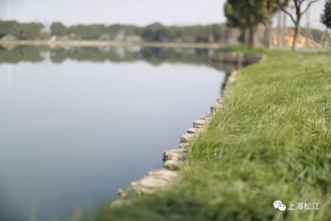 松江国际生态商务区地标,松江国际生态公园