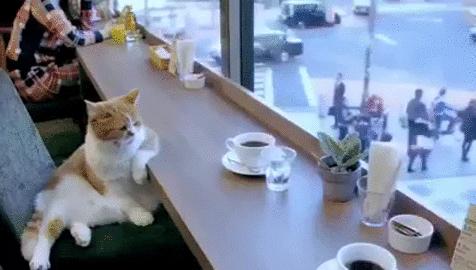 “开电脑”可不是“openthecomputer”，说错了很尴尬