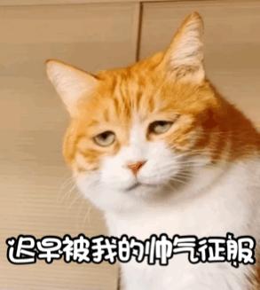 折纸很牛逼的作品,日本折纸大师折纸教程