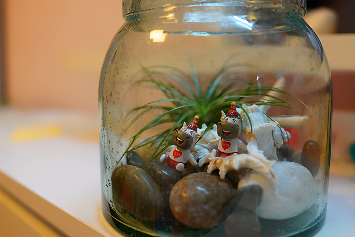 2021年管理会计就业前景怎么样？民营企业的管理会计发展怎么样？