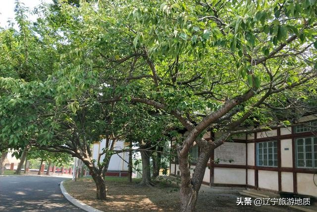 大连现存最古的建筑,大连历史建筑日本塔
