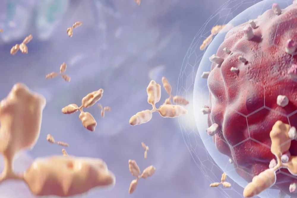 哪些痣易癌变为恶性黑色素瘤呢,如何判断痣会不会恶化成黑色素瘤