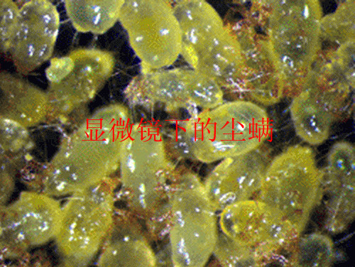 超棒国货去痘痘,祛除痘痘的国货测评