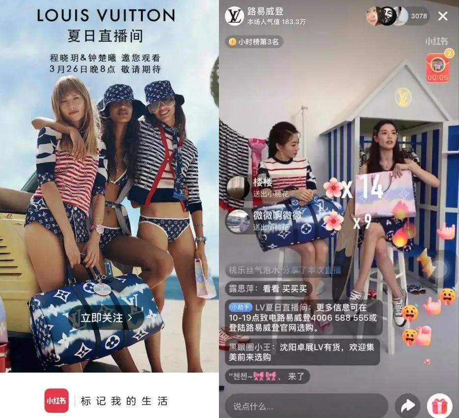 拿下蓝血顶奢的首播,为何小红书直播还是那么糊?波普娱乐分析