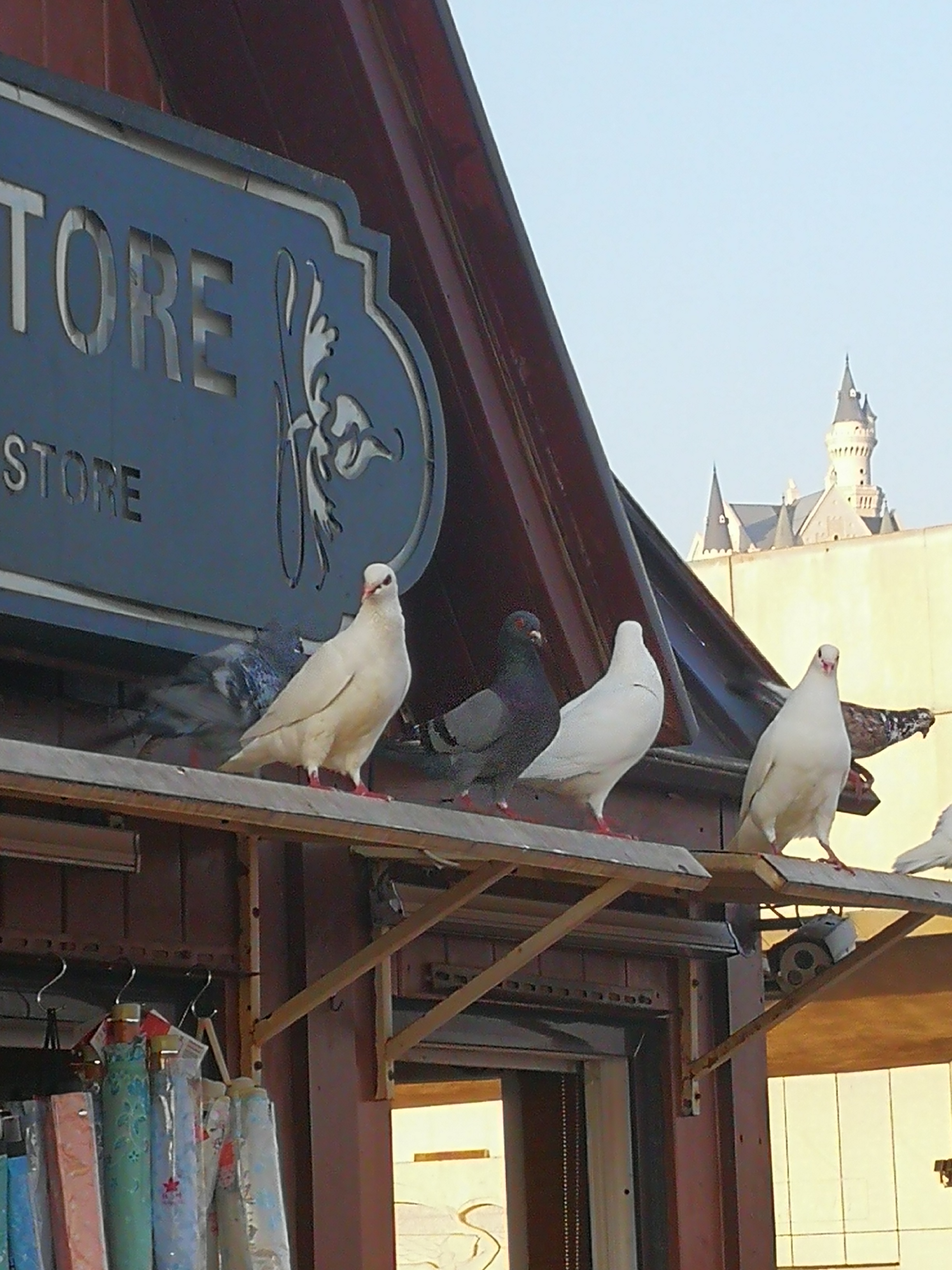 东北旅行第十六天,可望不可求的东北之行